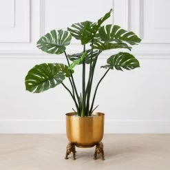 Nikki Chu - Jaguar Planter -Upholstery Shop 122424803 71996.1690292789.386.513