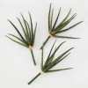 Faux Snake Grass Pick - Set Of 3