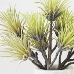 Upholstery Shop -Upholstery Shop 209207468 2 12382.1690278982.386.513 3