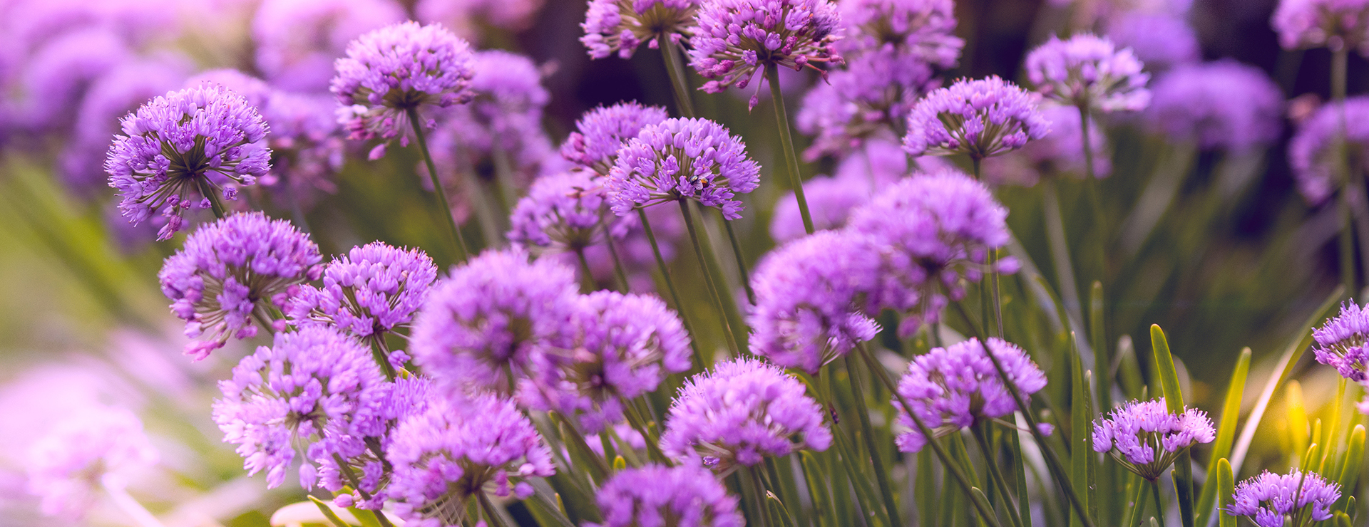 Upholstery Shop -Upholstery Shop photo 1536626589520 4ad2b836af83