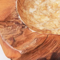 Organic Capiz Bowl -Upholstery Shop webimage 160160778 DTL