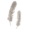 Feather Wall Decor - Set Of 2 -Upholstery Shop webimage 162113616 jpg 1