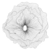 Large Poppy Flower Wall Decor - Silver/Black