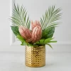 Protea In Pot - Blush -Upholstery Shop webimage 168115695 jpg