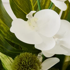 Phalaenopsis Leaf In Glass -Upholstery Shop webimage 168192665 dtl2