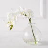 Phaleanopsis 1 Stem With Glass -Upholstery Shop webimage 200010845 jpg