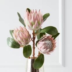 Protea Queen Spray - Set Of 3