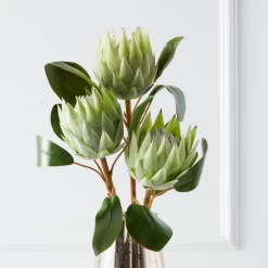 Protea Queen Spray - Set Of 3
