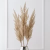 Pampas Grass - Set Of 3 -Upholstery Shop webimage 200200552 jpg 1