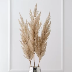 Pampas Grass - Set Of 3