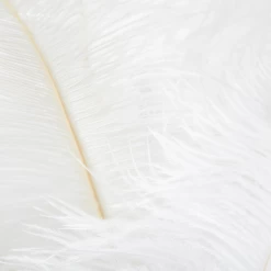 Ostrich Spray - Set Of 3 -Upholstery Shop webimage 205473069 1 jpg