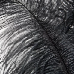 Ostrich Spray - Set Of 3 -Upholstery Shop webimage 205481273 1 jpg