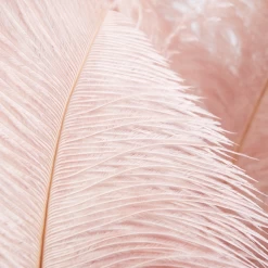 Ostrich Spray - Set Of 3 -Upholstery Shop webimage 205481274 1 jpg