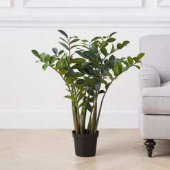 Upholstery Shop -Upholstery Shop webimage 206448861 1 jpg