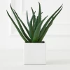 Faux Aloe Plant -Upholstery Shop webimage 207032941