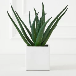 Faux Aloe Plant