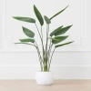 Faux Potted Water Canna -Upholstery Shop webimage 207190249