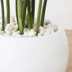 Faux Potted Water Canna -Upholstery Shop webimage 207190249 dtl1