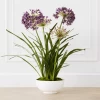 Faux Potted Agapanthus -Upholstery Shop webimage 207919623
