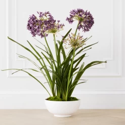 Faux Potted Agapanthus