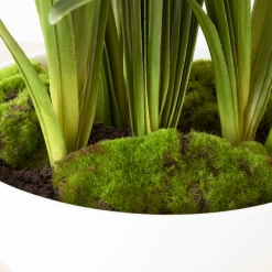 Faux Potted Agapanthus -Upholstery Shop webimage 207919623 dtl2