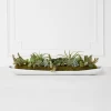 Succulent Assortment In Wood Tray -Upholstery Shop webimage 207999710