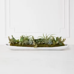 Succulent Assortment In Wood Tray