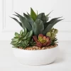 Succulent Assortment In Bowl