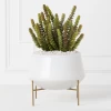 Donkey Tail In Bowl With Stand -Upholstery Shop webimage 207999712