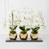 Orchid Trio With Granite Slab -Upholstery Shop webimage 207999715