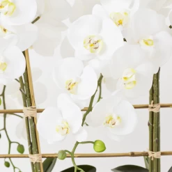 Orchid Trio With Granite Slab -Upholstery Shop webimage 207999715 dtl2