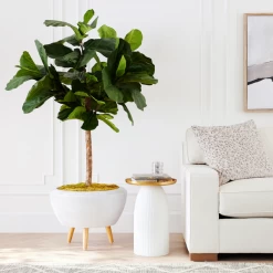 Fiddle Leaf Tree In Bowl -Upholstery Shop webimage 207999719 alt6 DSI FIDDLE LEAF IN WHITE POT rv