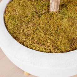 Fiddle Leaf Tree In Bowl -Upholstery Shop webimage 207999719 dtl2