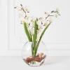 Cymbidium In Glass Vase -Upholstery Shop webimage 207999720 1