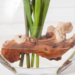 Cymbidium In Glass Vase -Upholstery Shop webimage 207999720 dtl2 1