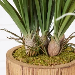 Areca In Wood Stand -Upholstery Shop webimage 207999721 dtl1