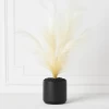 Plume In Kendall Pot