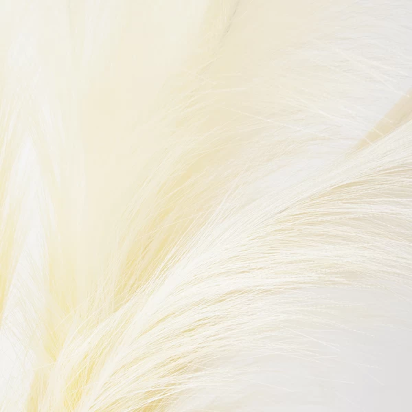 Plume In Kendall Pot 4 Plume In Kendall Pot - Image 2