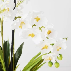 Orchids In Glass Bowl -Upholstery Shop webimage 207999723 dtl1