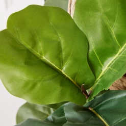 Fiddle Leaf Branches In Bowl -Upholstery Shop webimage 207999724 dtl2
