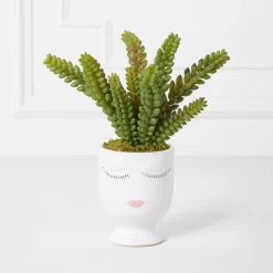 Selfie Succulents In Face Planter