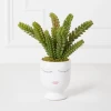 Selfie Succulents In Face Planter