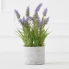 Lavender In Grey Pot -Upholstery Shop webimage 207999958 1