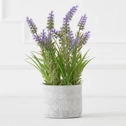 Lavender In Grey Pot