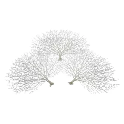 Faux Coral Fan - Set Of 3