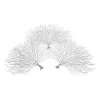 Faux Coral Fan - Set Of 3