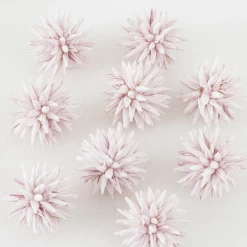 Upholstery Shop -Upholstery Shop webimage 209202507 alt1 1