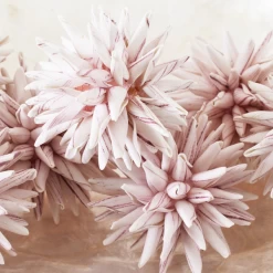 Faux Allium Sphere - Set Of 9 -Upholstery Shop webimage 209202507 dtl 1