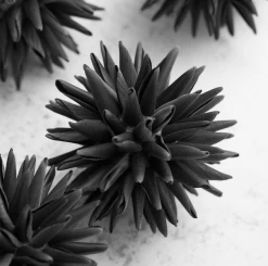 Faux Allium Sphere - Set Of 9 -Upholstery Shop webimage 209356924 2 jpg