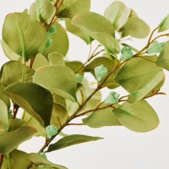 Eucalyptus Spray - Set Of 3 -Upholstery Shop webimage 999172481 dtl